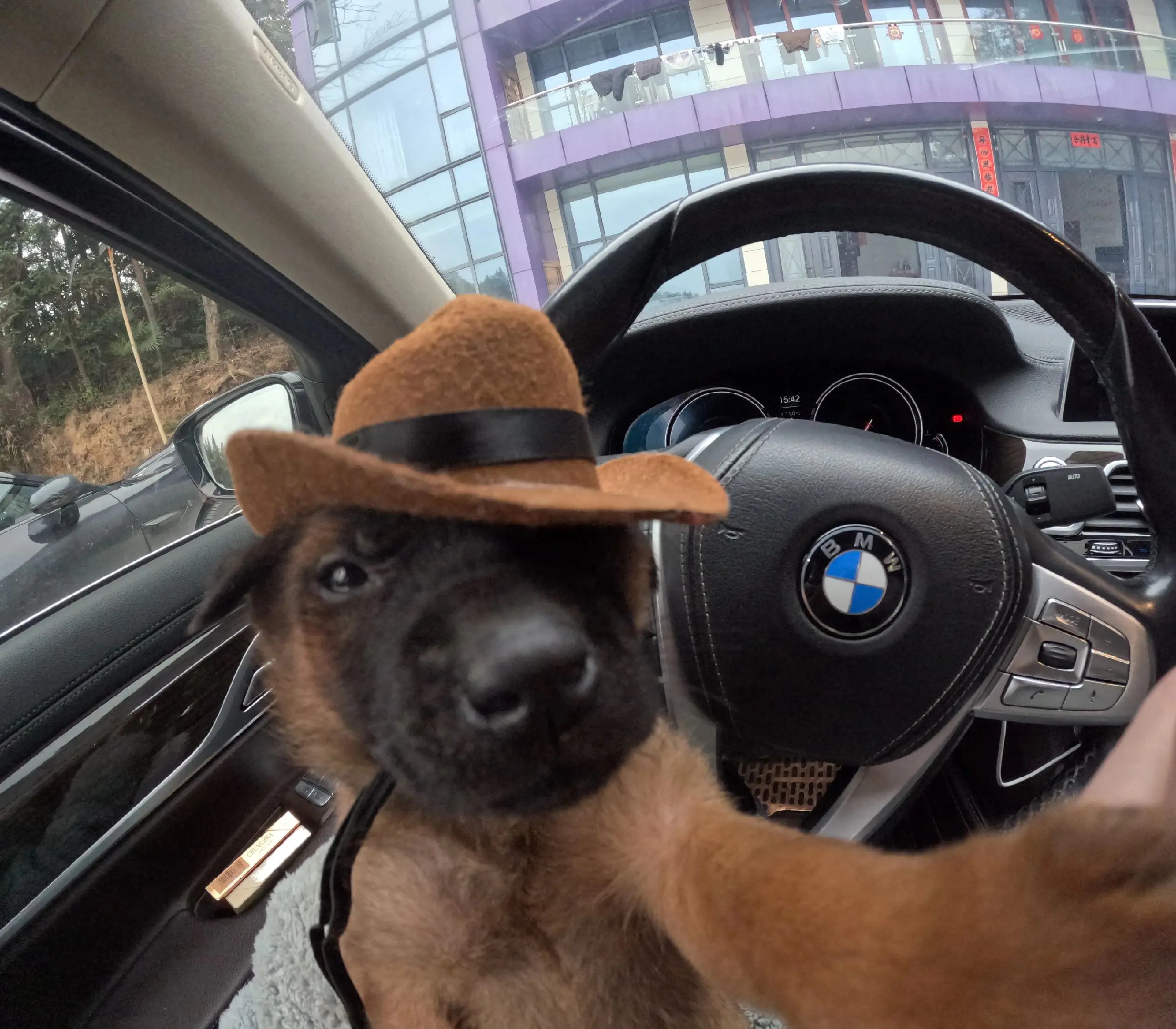 确定不跟我处吗？    bmw宝马