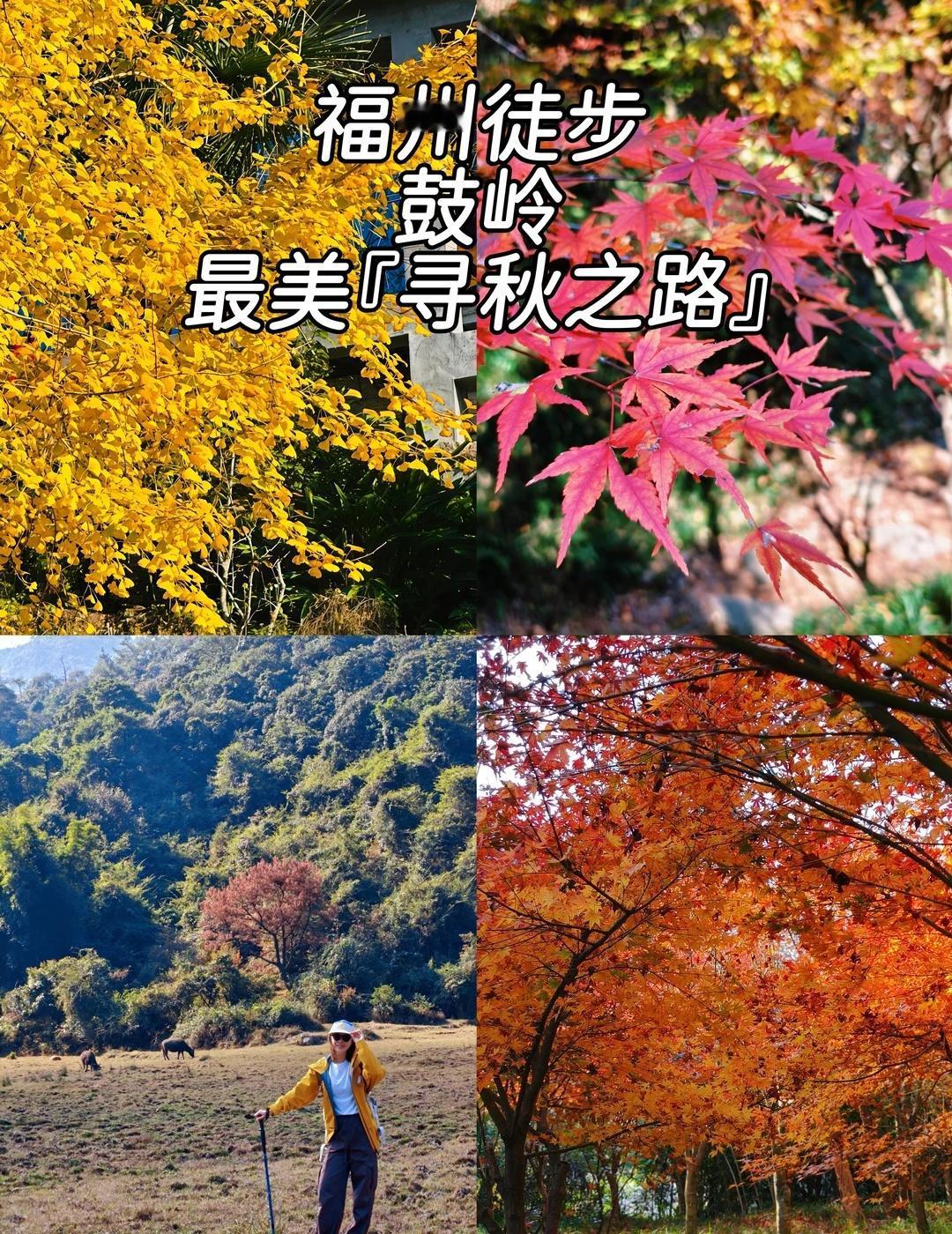 福州徒步｜秋日限定！绝美“寻秋”徒步路线
👧🏻hi，宝们，我是你的“山野向导