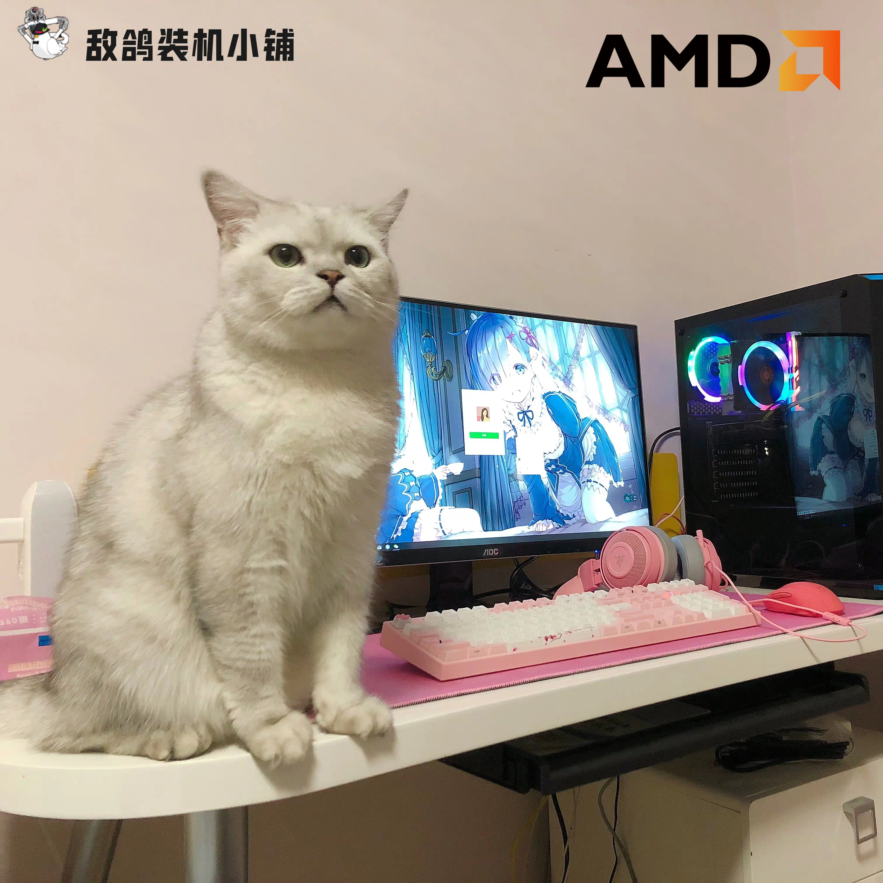 三月购机活动:全部机器赠送鸽鸽电竞又大又宽长长耐磨细纹鼠标垫一套4000元以上可