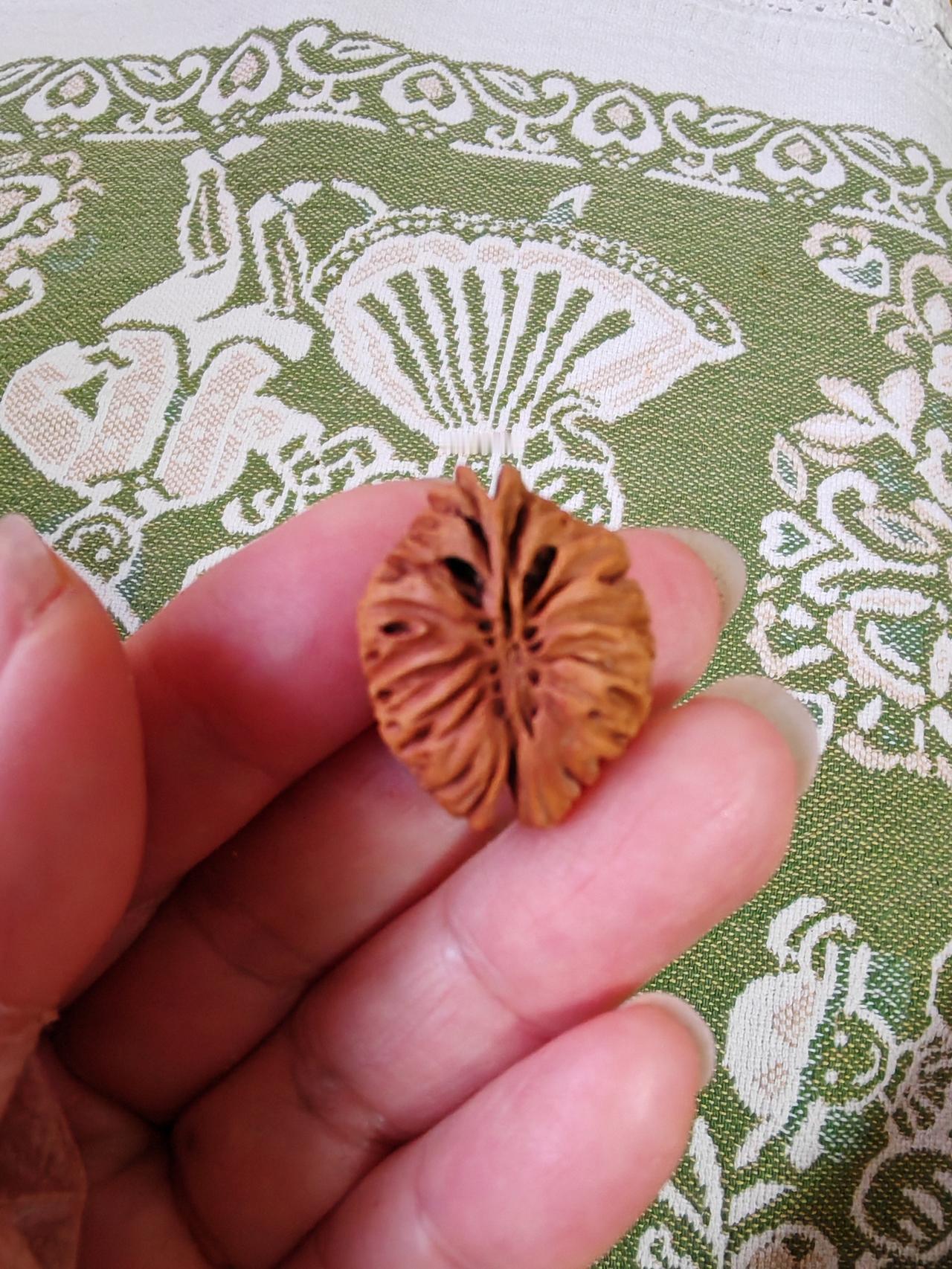 真的太像了！
库存的几枚桃核，真真切切很像枭鸟呀！
俗话说，一桃压百媚，一枭镇千