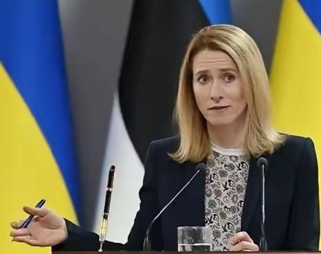 这才是变色龙！在泽连斯基12月14日表示乌克兰放弃加入北约的目标后，12月15日