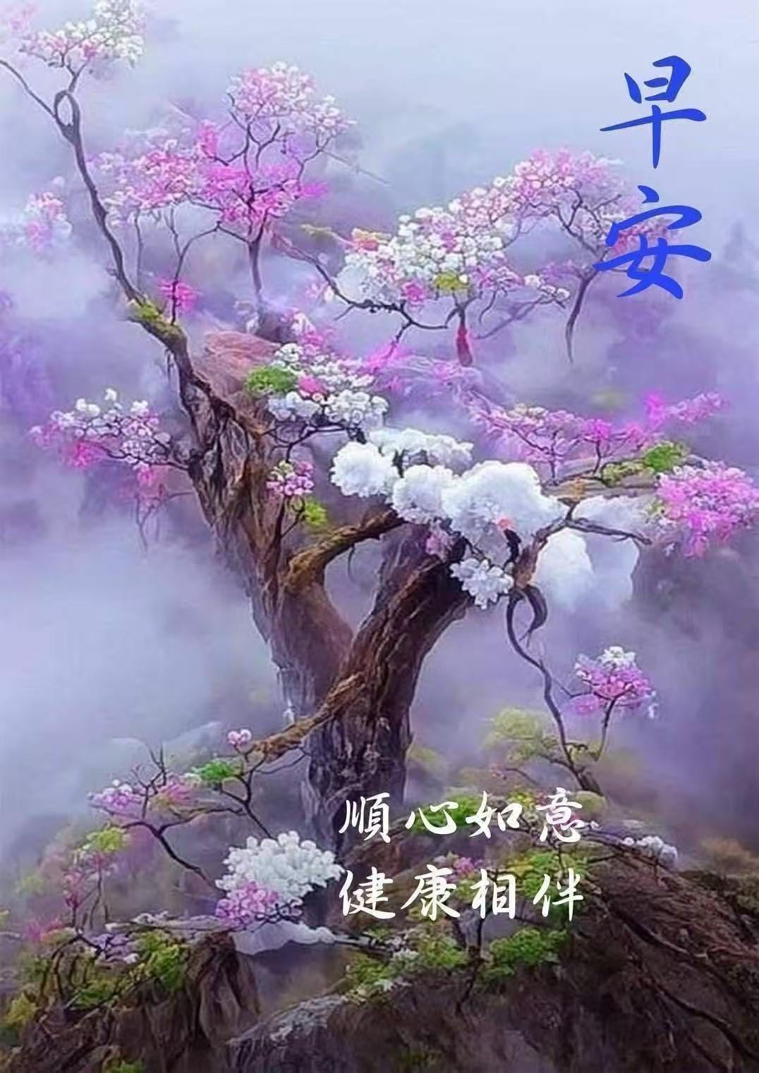 顺心顺意，早上好！