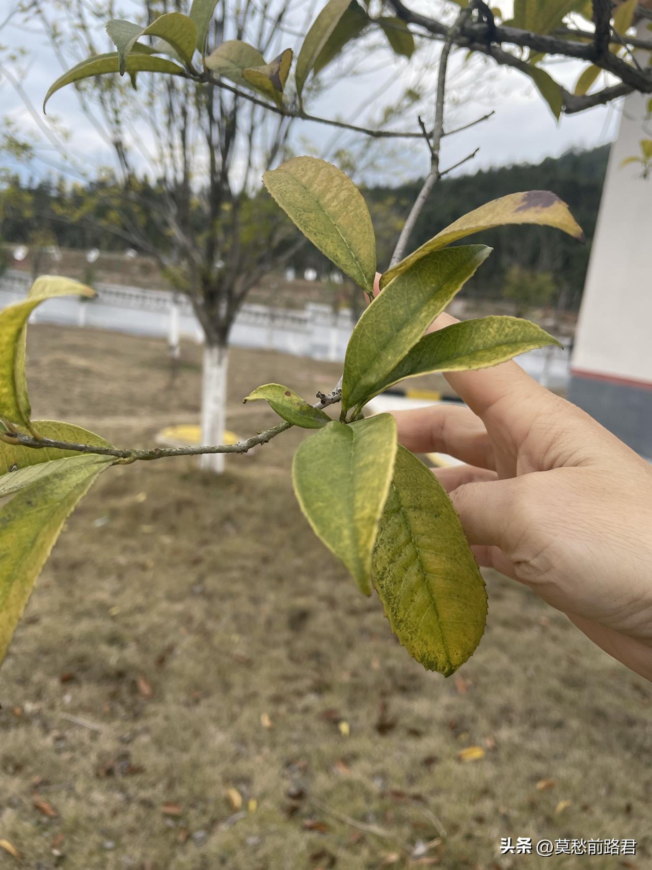 春季雨水多，一直下雨，湿答答的，看不到太阳，我的心情也会跟着湿答答的。

夏季太