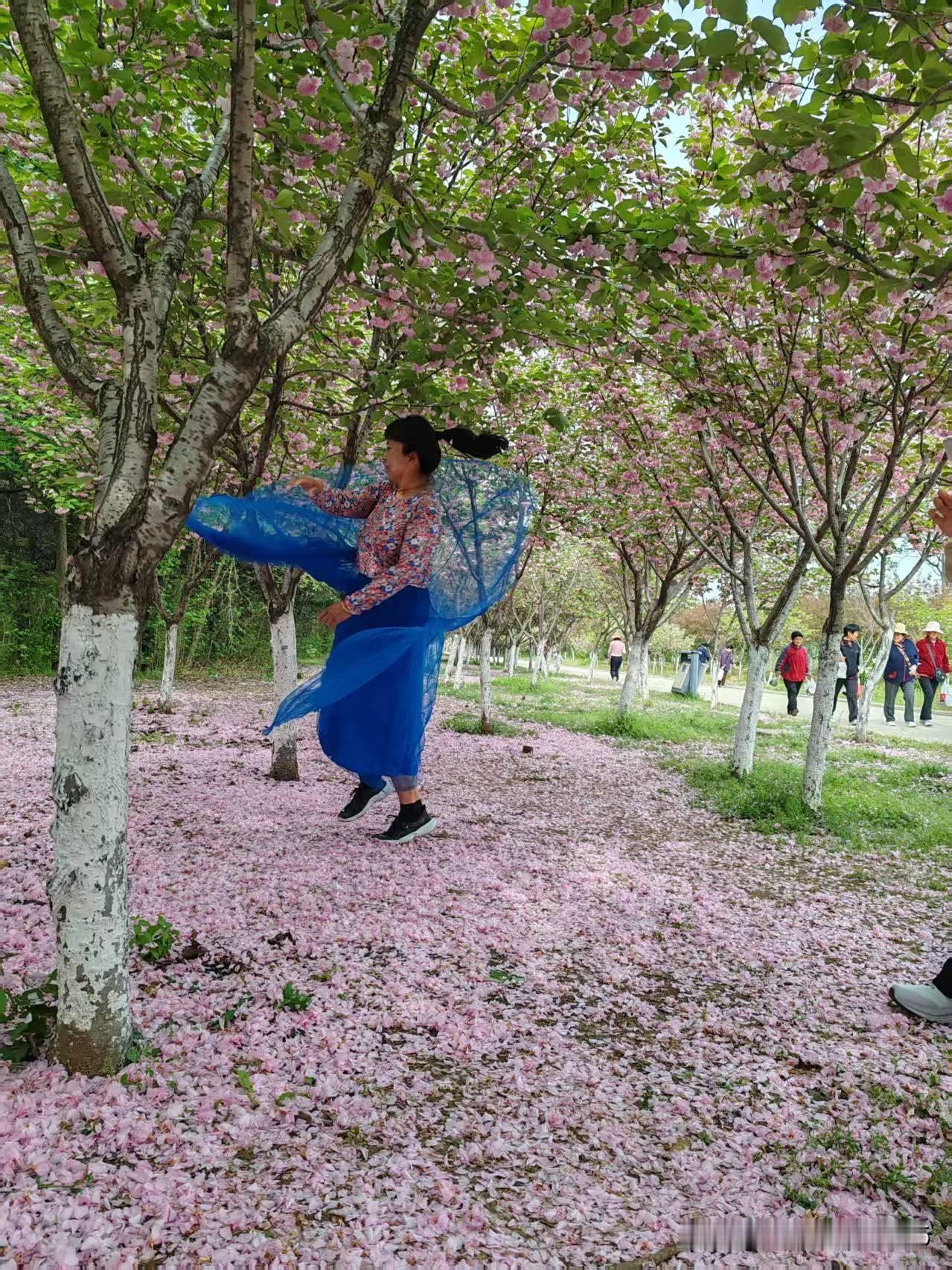 让我们老年人去上班吧！
我们起得早，还不困。
精力无比旺盛，每个人都多才多艺。