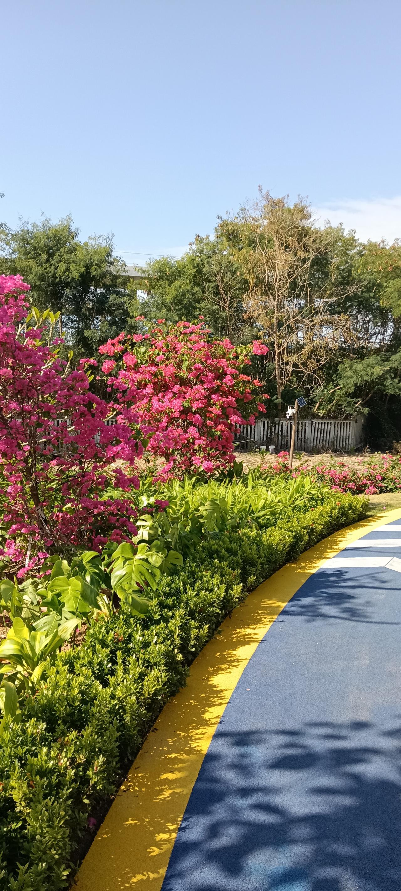 乐东九所新区
高铁站附近一个开放式小区
12月23日，普通的上午
我在这里走步、