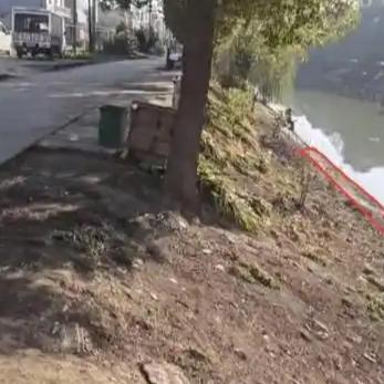 幼童的意外掉水事件以及母亲在施救中遇难，反映出家庭安全和防范措施的重要性。此类事