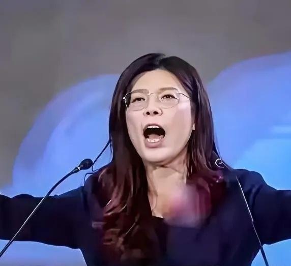 台海最新动态 不愿扛起统一大旗，何必身居国民党主席之位？近日，国民党前主席洪秀柱