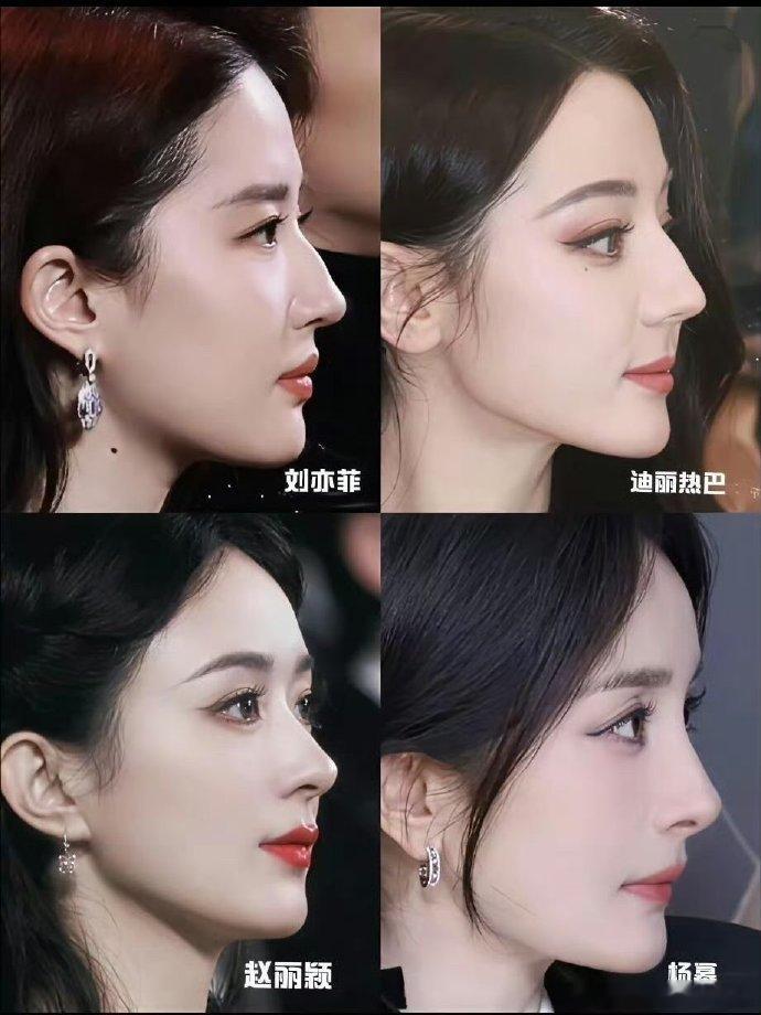 现役最美侧颜，你们同意吗？ 刘亦菲 迪丽热巴 赵丽颖 杨幂 