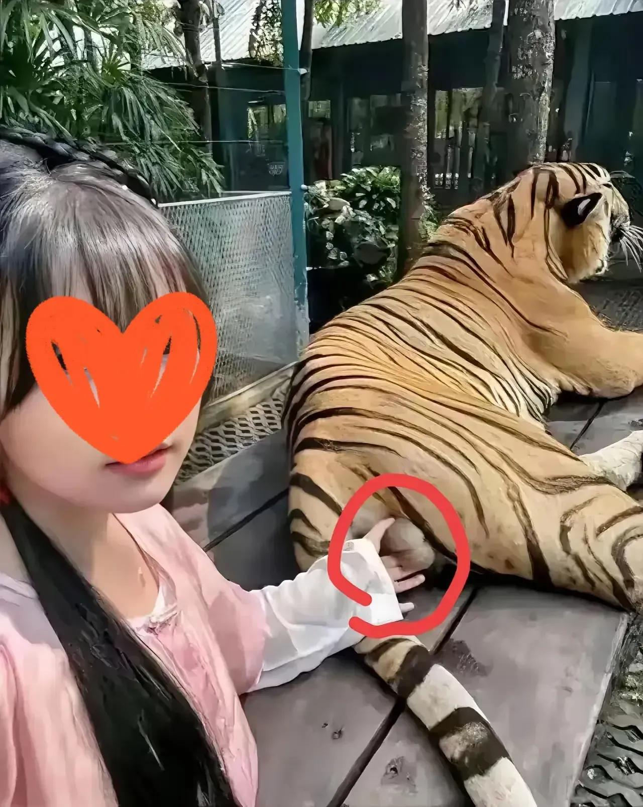 合肥动物园怎么样？在安徽能排第几？

合肥和周边更多地方都玩过了，唯独没去过动物