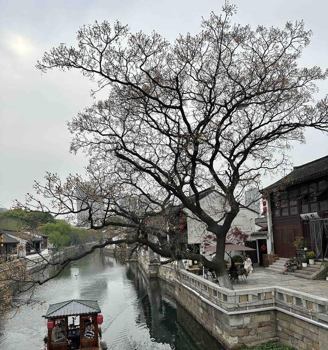 小长假最后一天，家里炖着腌笃鲜，我搞完卫生，下午直接拉着老公去青果巷溜达。地铁全