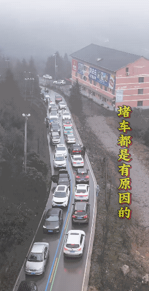 堵车跑不了这几个原因:龟速、占道、逆行，发生事故除外。
大聪明，不仅耽搁了别人还