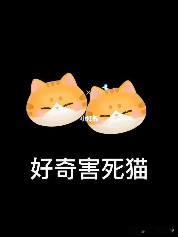 好奇害死猫的经典案例

某地纪监部门，为了加强对职务犯罪的预防和监督，邀请专家开