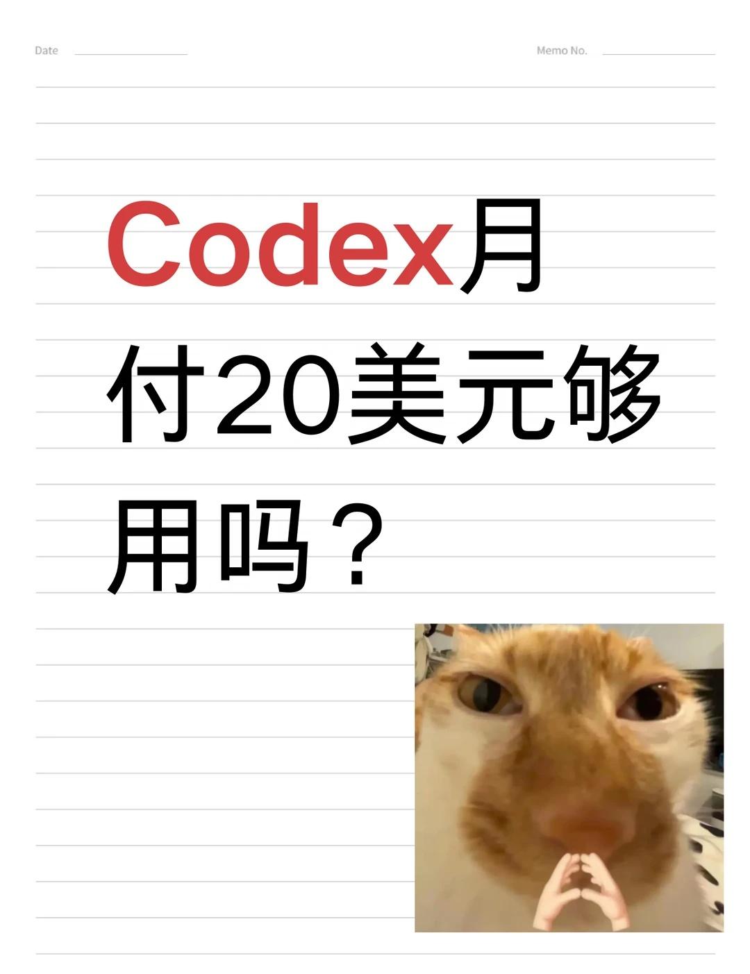 Codex月付20💰够用吗？
省钱才是硬道理 codex AI AI编程 该省