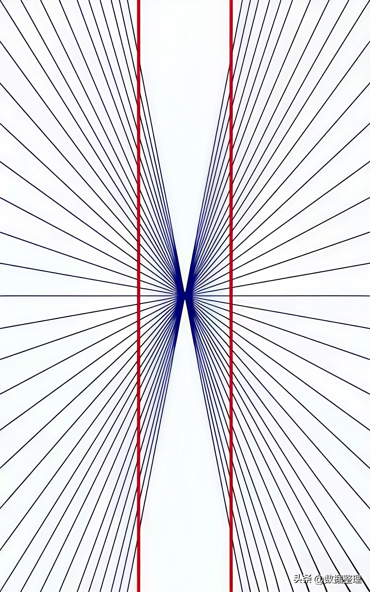 如果你看到图片里的两条红线是直的，说明你的视力没有问题。