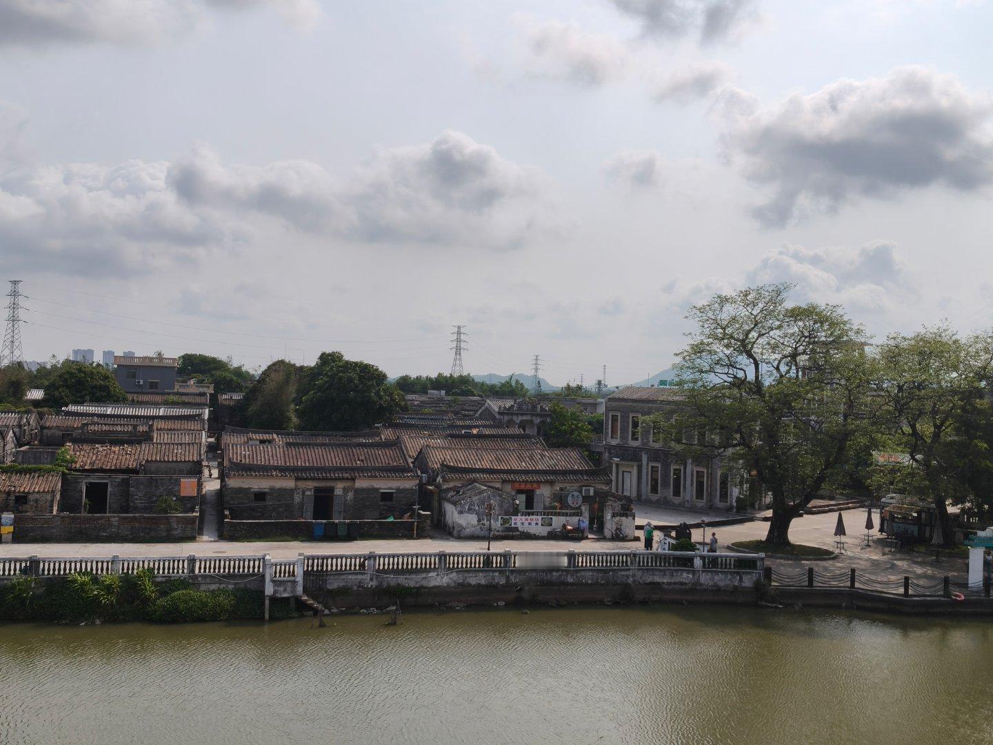 拍到一只走地鸡 