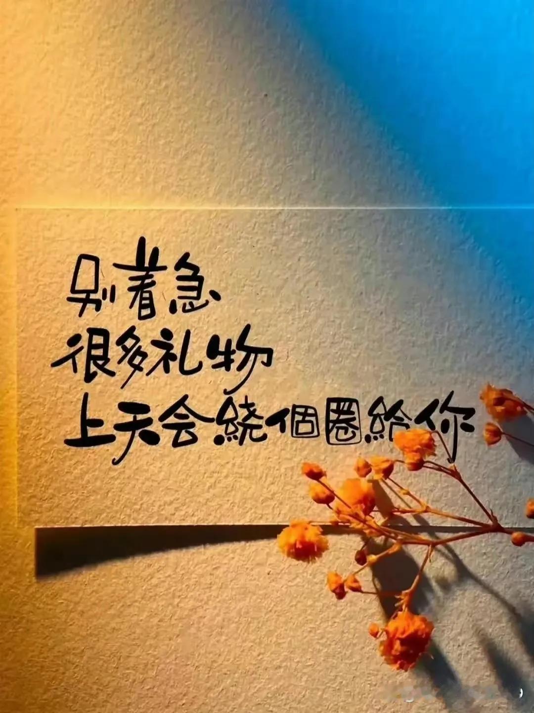 生活不易啊！我是那种生活中大大咧咧的人，心里不藏事，有什么说什么，总是不顾及别人