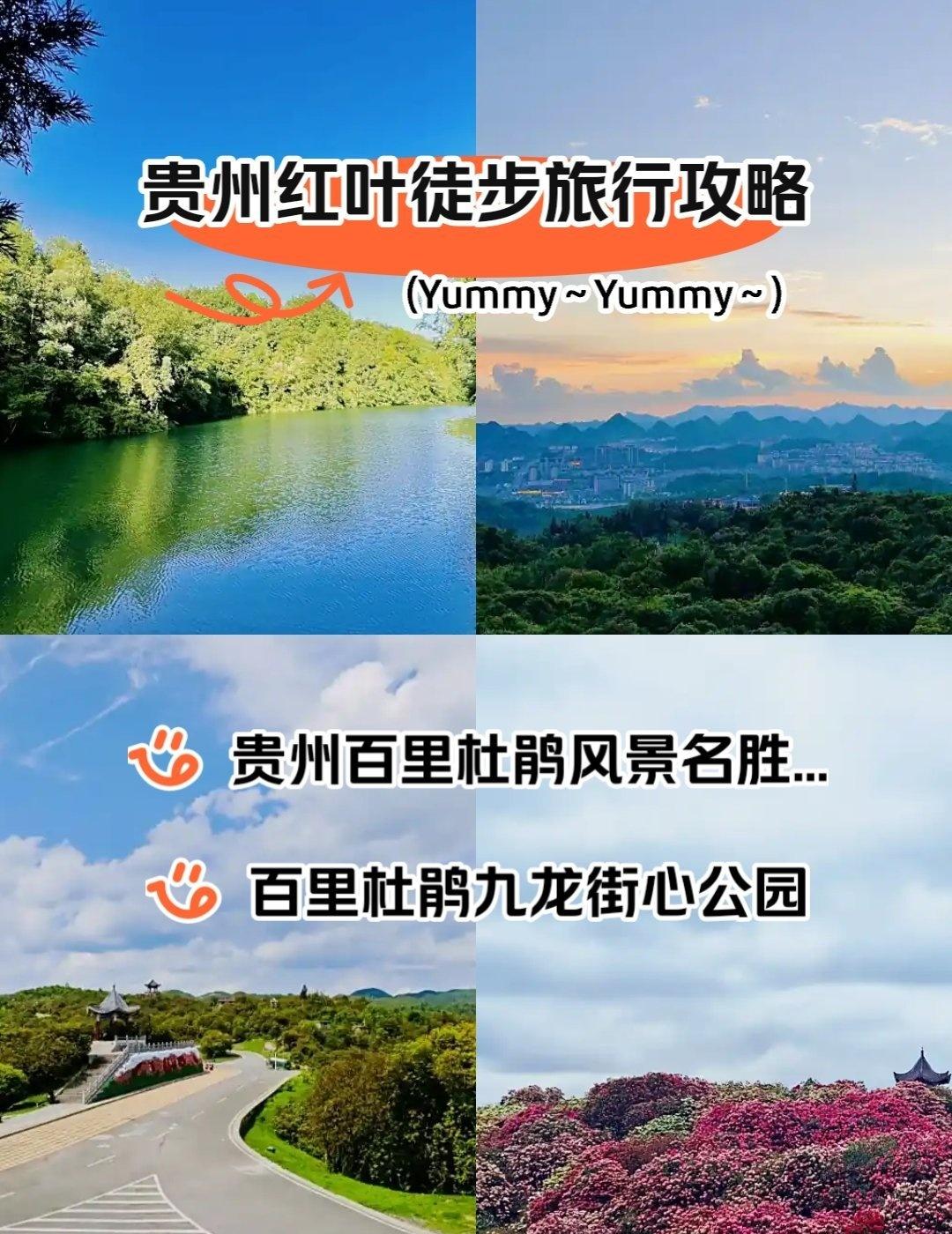 错峰解锁世界最大天然花园!这个秋天在百里杜鹃的
野径里，我找到了徒步天堂!
谁说