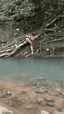 这蛇真是一个潜伏者高手，不动时不露一点声色，一动就是弹无虚发，百发百中，比神枪手