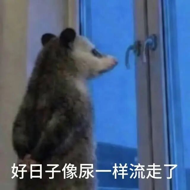 今年 618 没买新电脑，感觉心里空荡荡的 