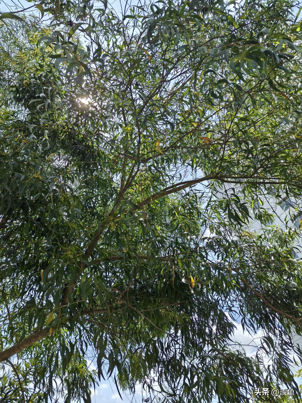人的一生好好爱自己是自私吗?人到中年，什么都经历过了，爱情、亲情、友情。。。这些