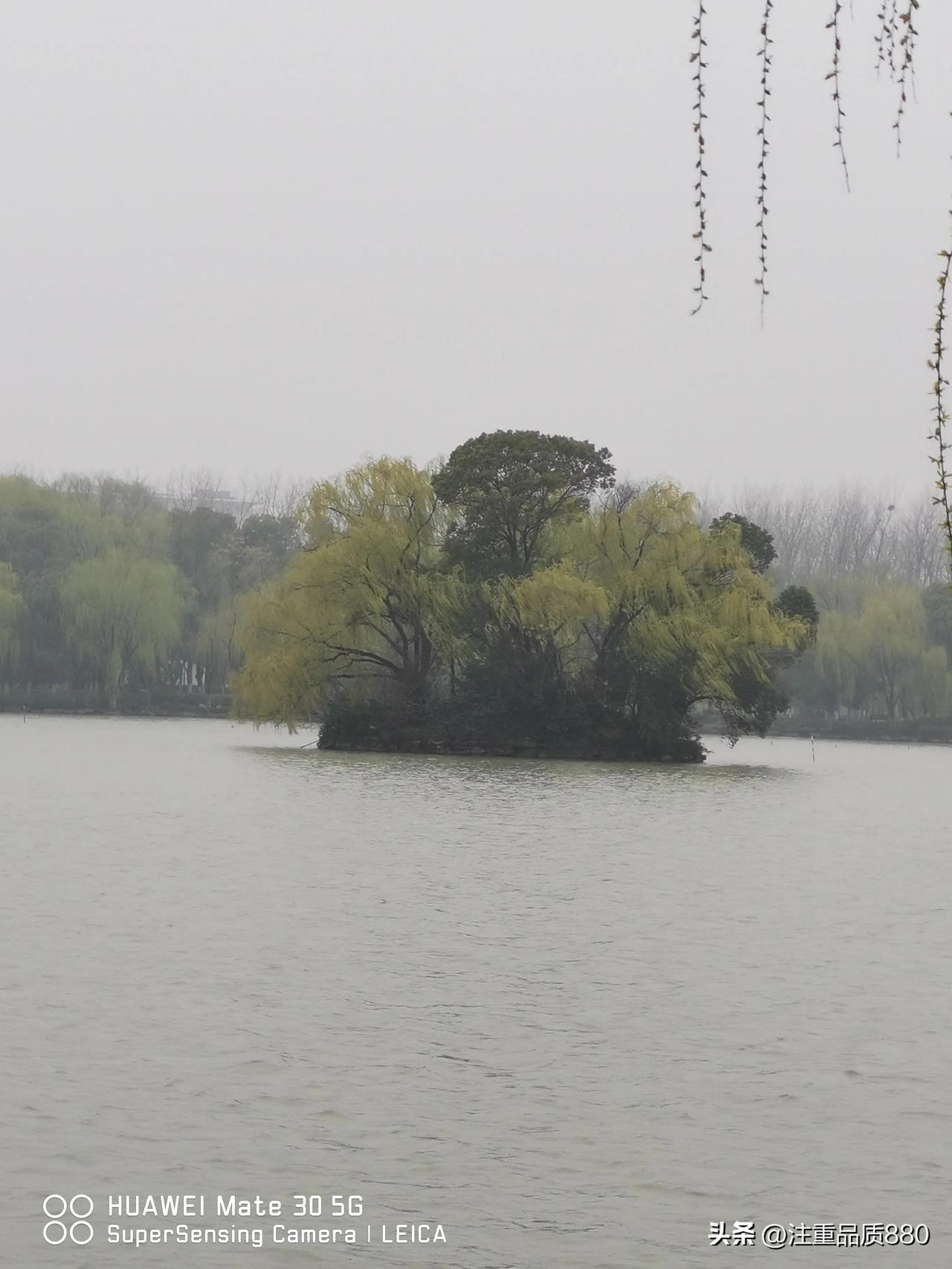 美景图片分享嘉兴南湖公园景美如画，温馨静谧