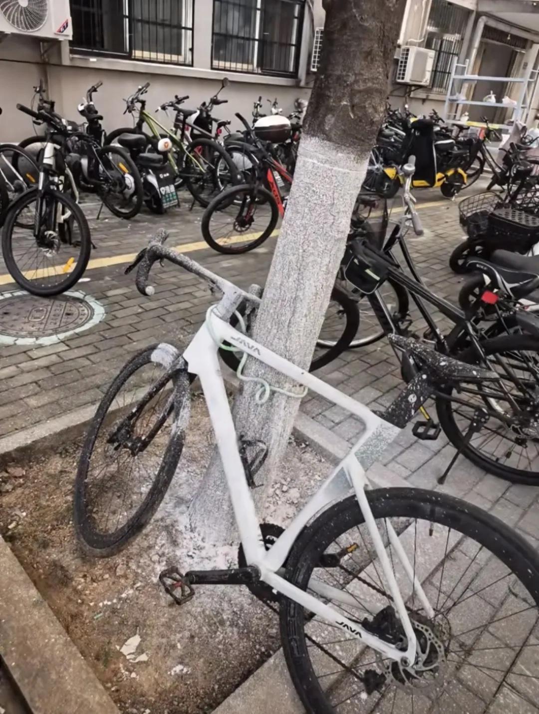 自行车在外边放了几天，去骑时变成了这样！以后再也不把车锁树上了！[捂脸]