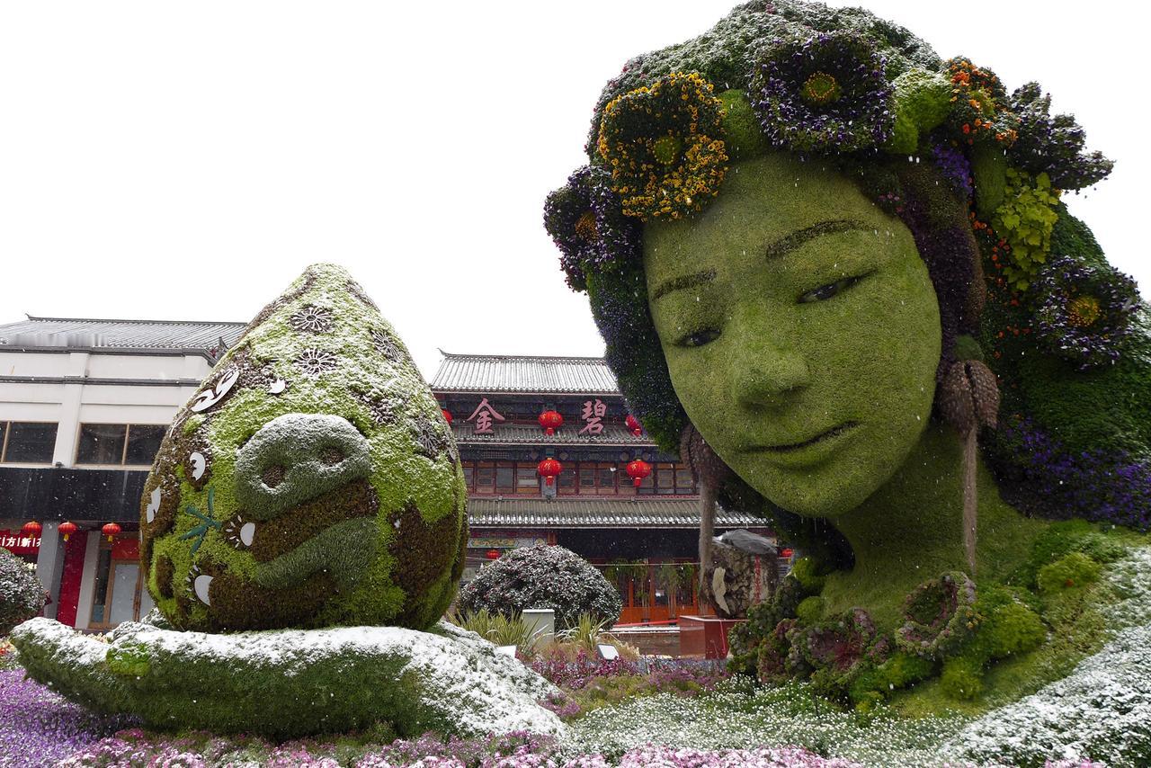 胡言摄影九张之昆明花雕