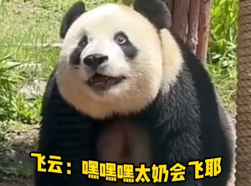 #每天一条冷知识#云南人为啥爱吃菌子？因为云南野生食用菌有900种，占全世界食用
