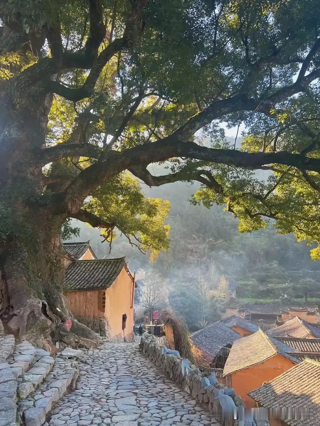 世界上有可能成功的人不是才华出众的，而是抓住每次机会全力以赴，拼尽全力的人