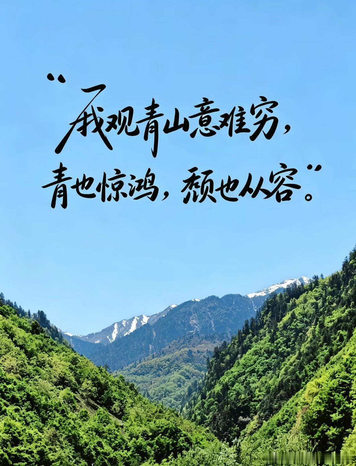 看了一天书，一天基本没看手机，也没发微博，难得，晚安 