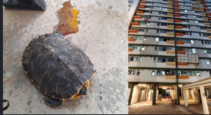 香港荔景祖尧邨启恒楼对开，今日（4月12日）傍晚6时许有人报案，表示在大厦对开空