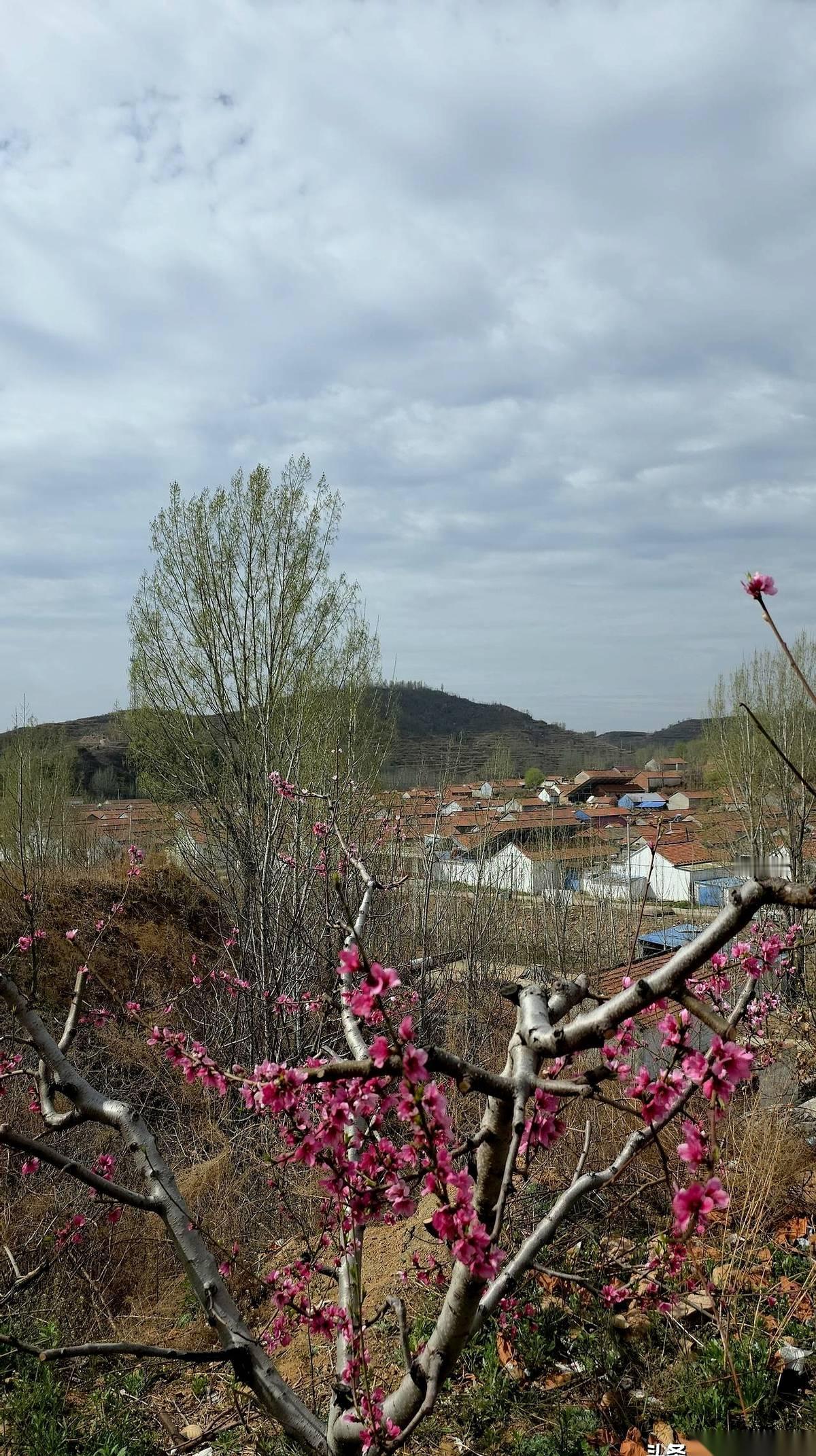 60岁，他回到那个离县城50公里的山沟沟。上一次站在这片土地上，还是十三四岁。