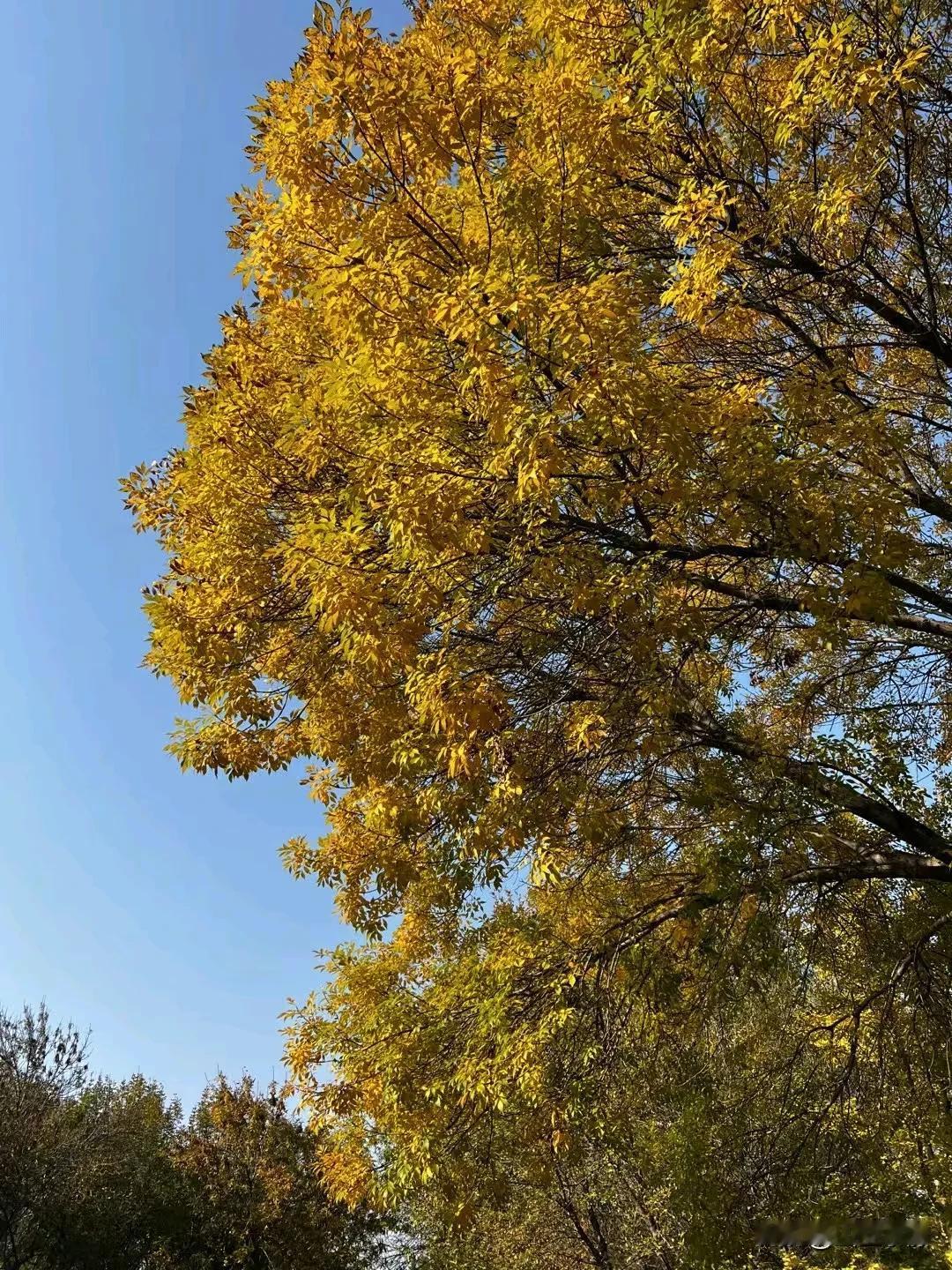 “如果太累了，就和生活请个假，生活不是为了赶路而是为了感受路。”

“接受岁月的