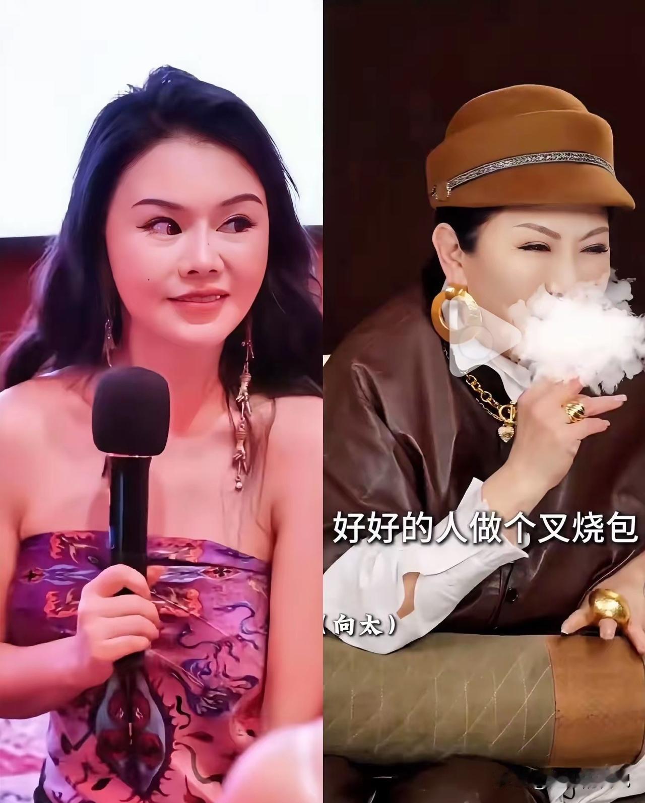 “好好的人不做，非得去做叉烧包”向太说话又解气，又赶劲儿。

她说的特别有道理，