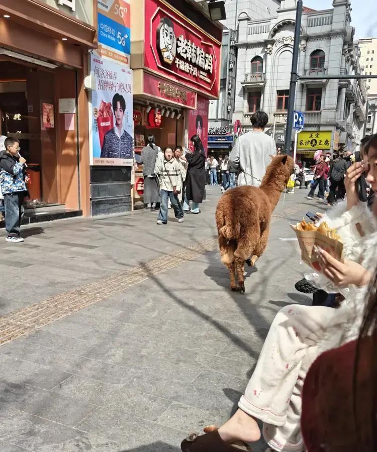 刷到一条热搜说选秀出身的女星在武汉办活动没人理，现场冷清得尴尬。

我翻了半天，