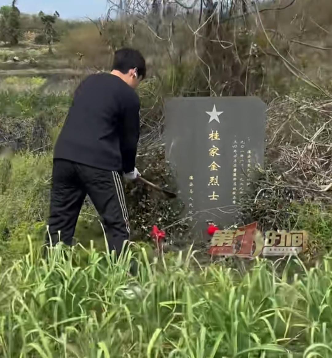 清明时节，一名15岁少年跟着母亲回乡祭祖时，偶遇了一处被藤蔓杂草覆盖的烈士墓。