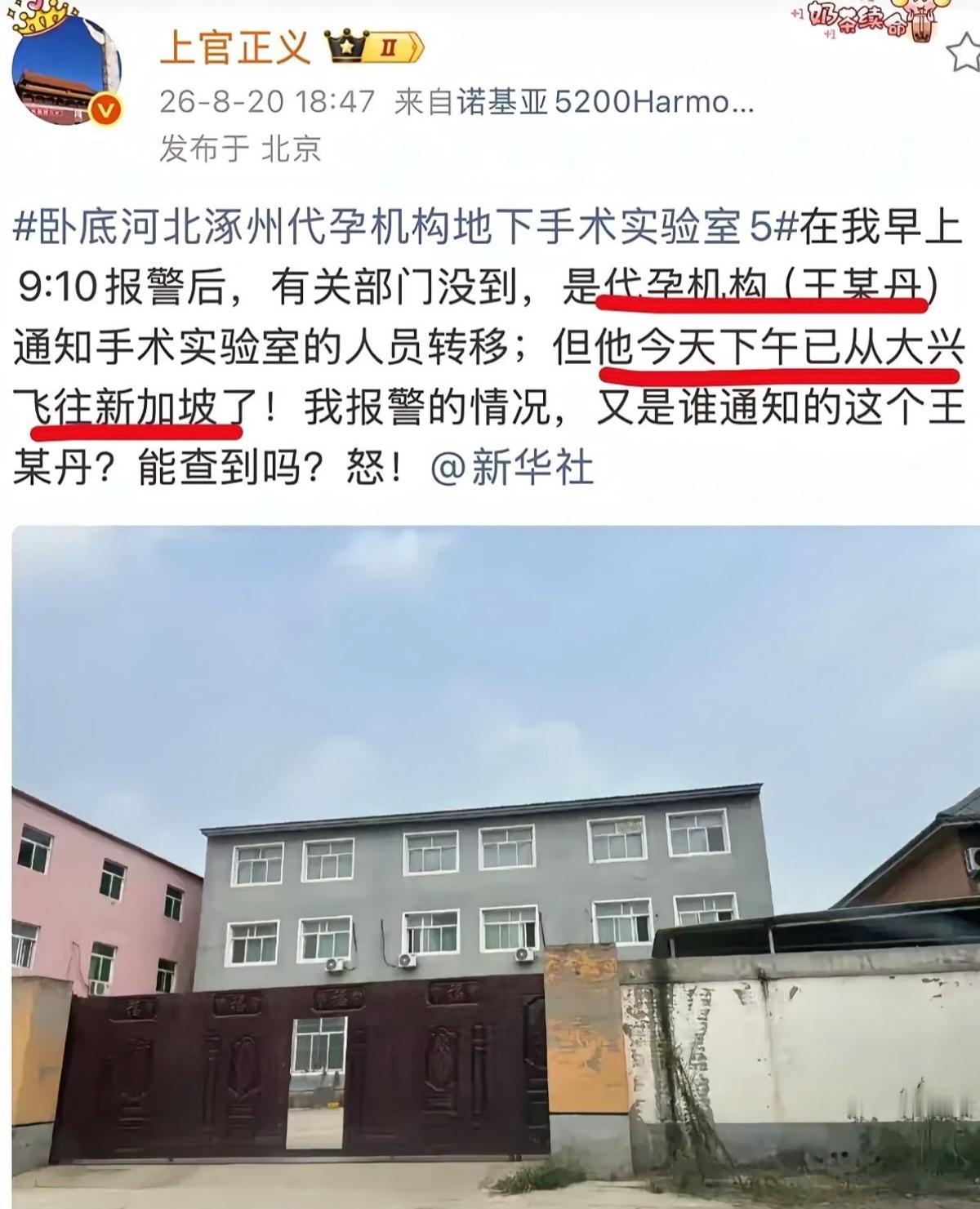一个叫上官正义的打拐志愿者，在河北涿州一个村子里卧底了半年。他发现一栋三层厂房被