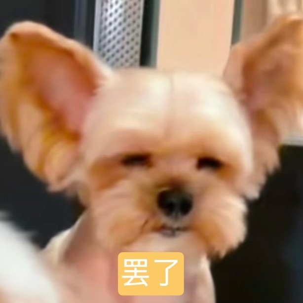 没人发现一个人看电影逛超市吃海底捞玩拼豆特别爽吗？没人发现吗？ 