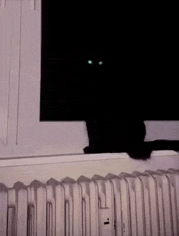黑夜的精灵 ​​​