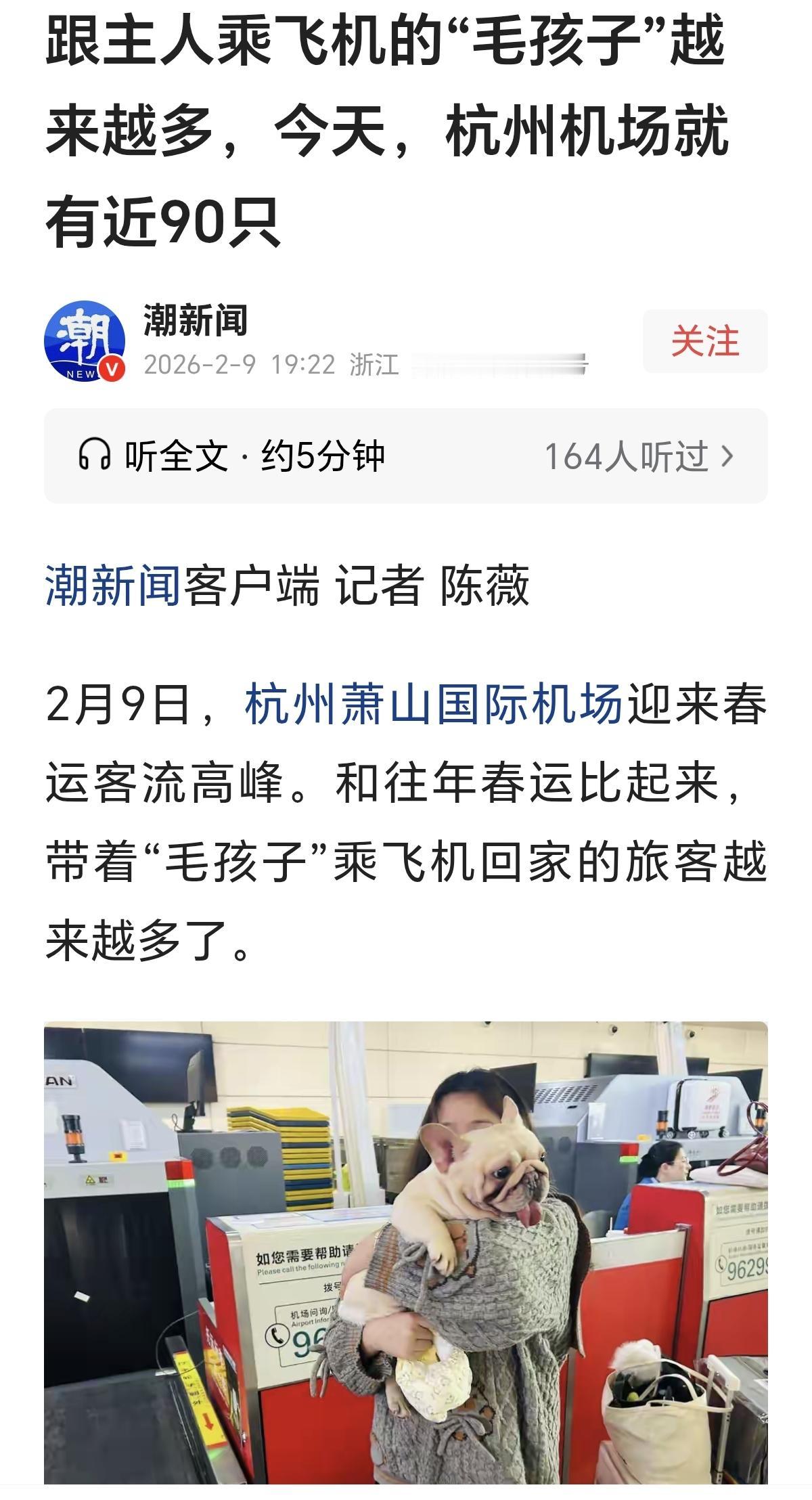 “我有点懵！”没想到那些打算托运宠物猫狗的乘客在高铁上没能实现的愿望，航空公司竟