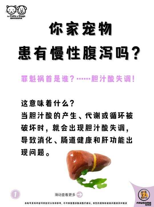 你家宠物患有慢性腹泻吗？