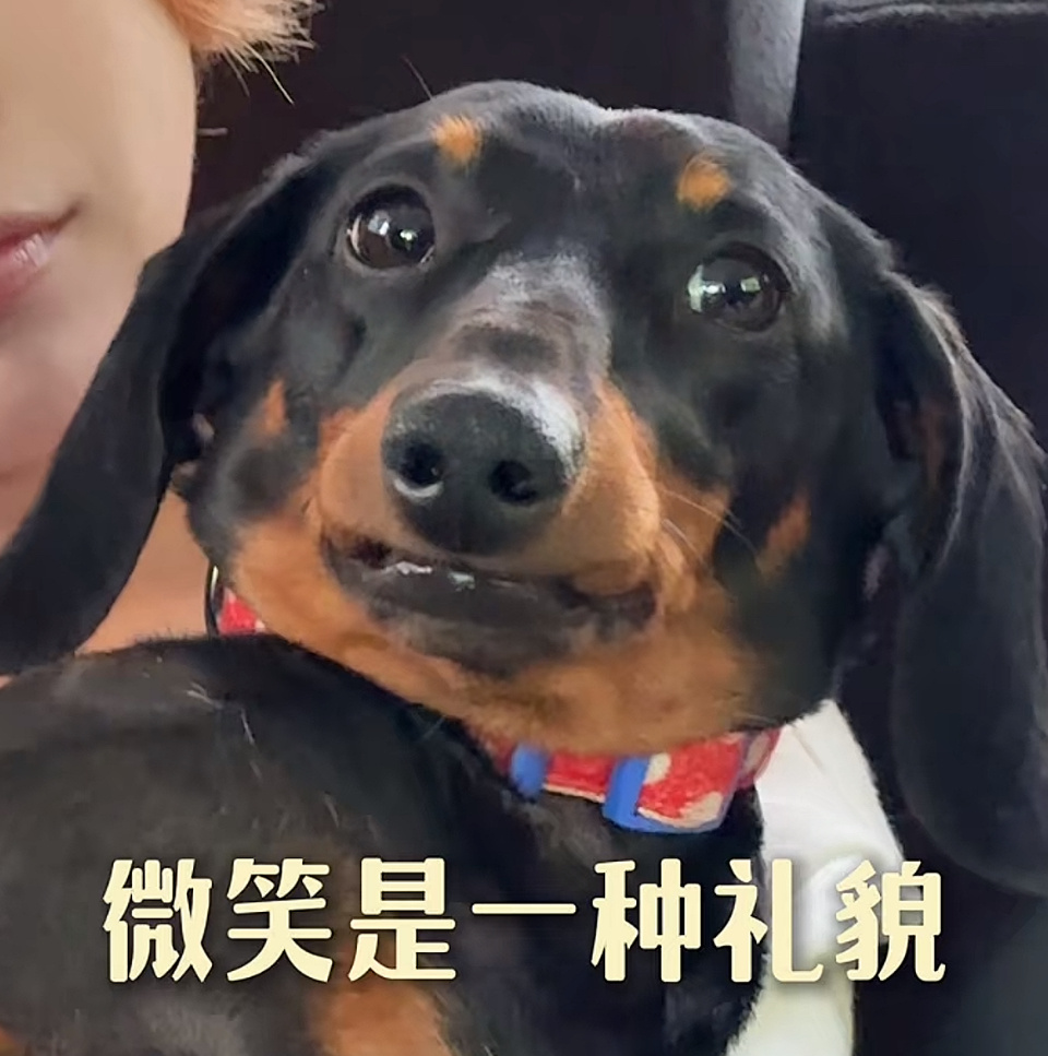 又捡一张大耗子正脸 