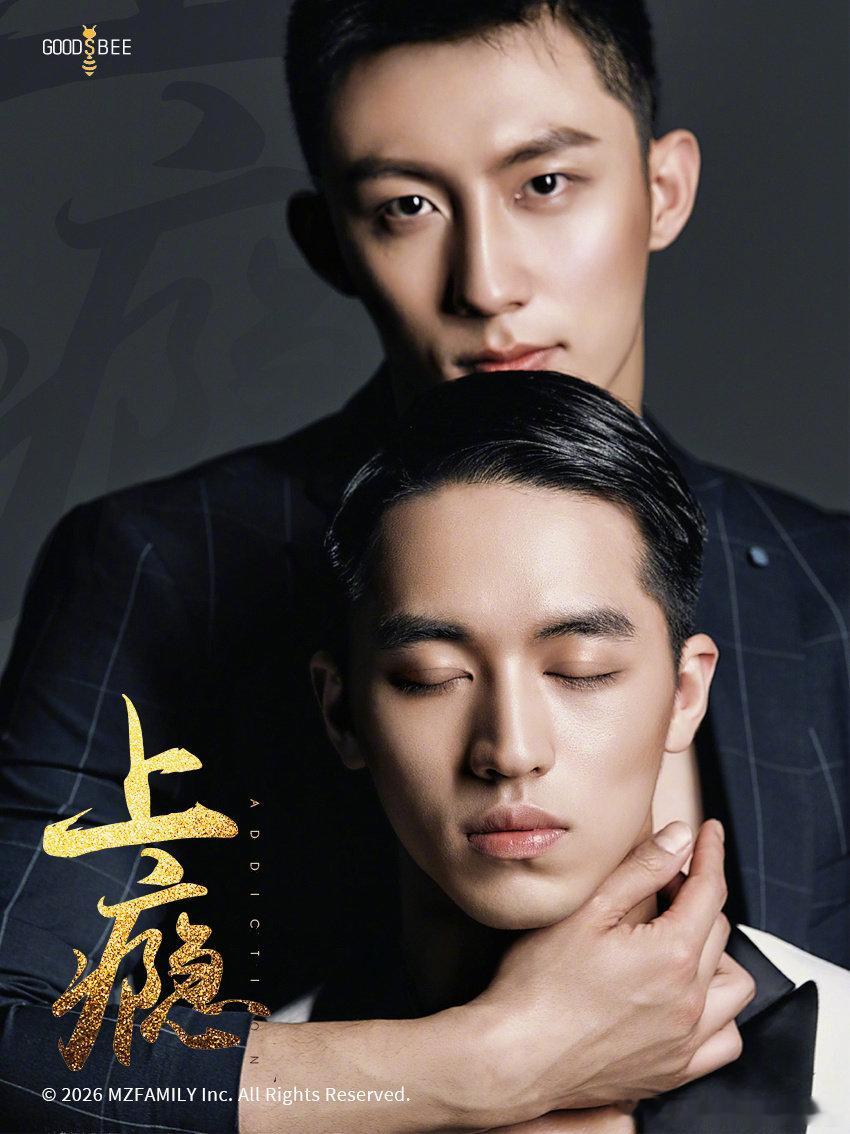 上瘾十周年之约企划，说是想让俩男主再次合体同框 难度很大吧、我感觉 