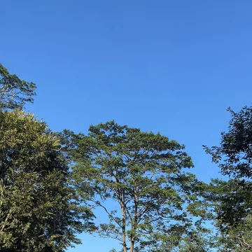 伊苏日记