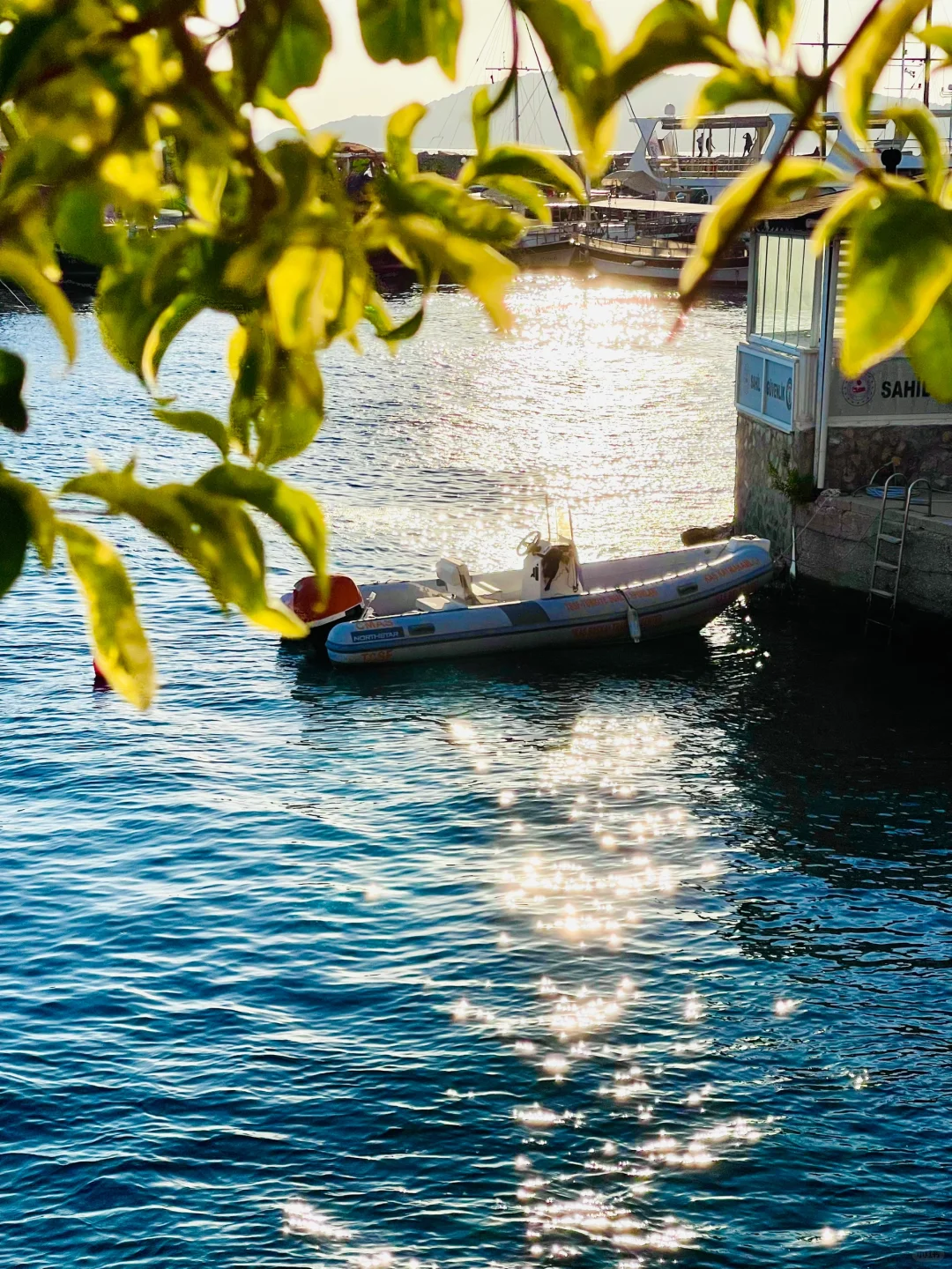 学到了…iphone这样拍真的好富士！！