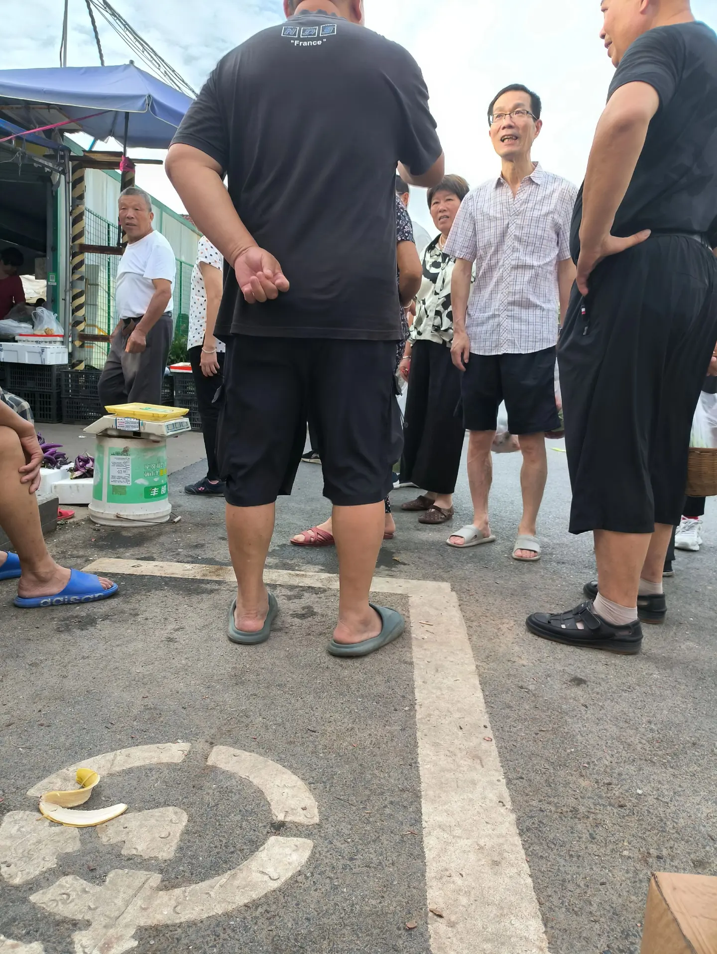 每日分享