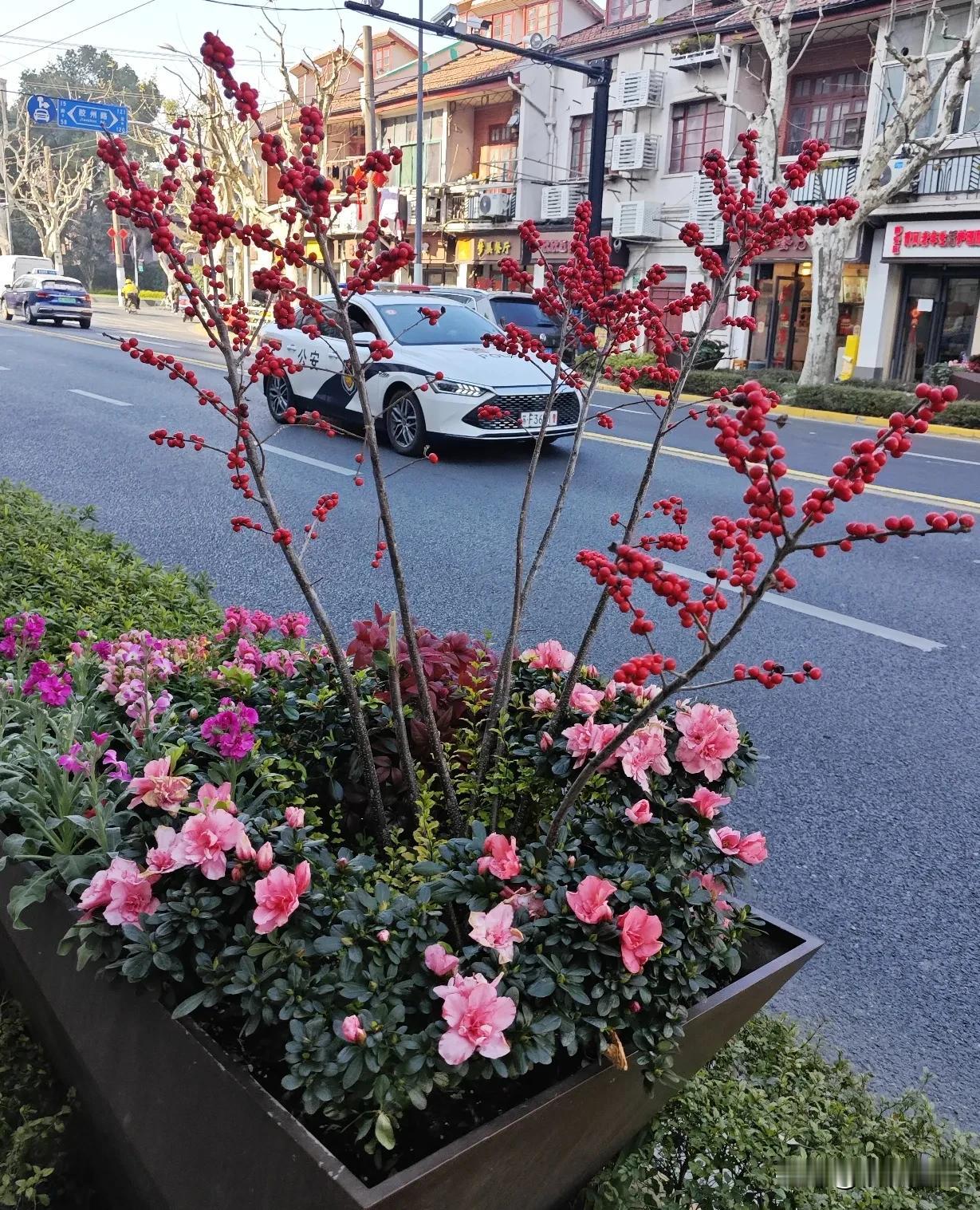 《情未了》
岁月摧残颜值衰，
人尽夕阳暗无色；
朋友圈子在缩小，
生活好友渐离开