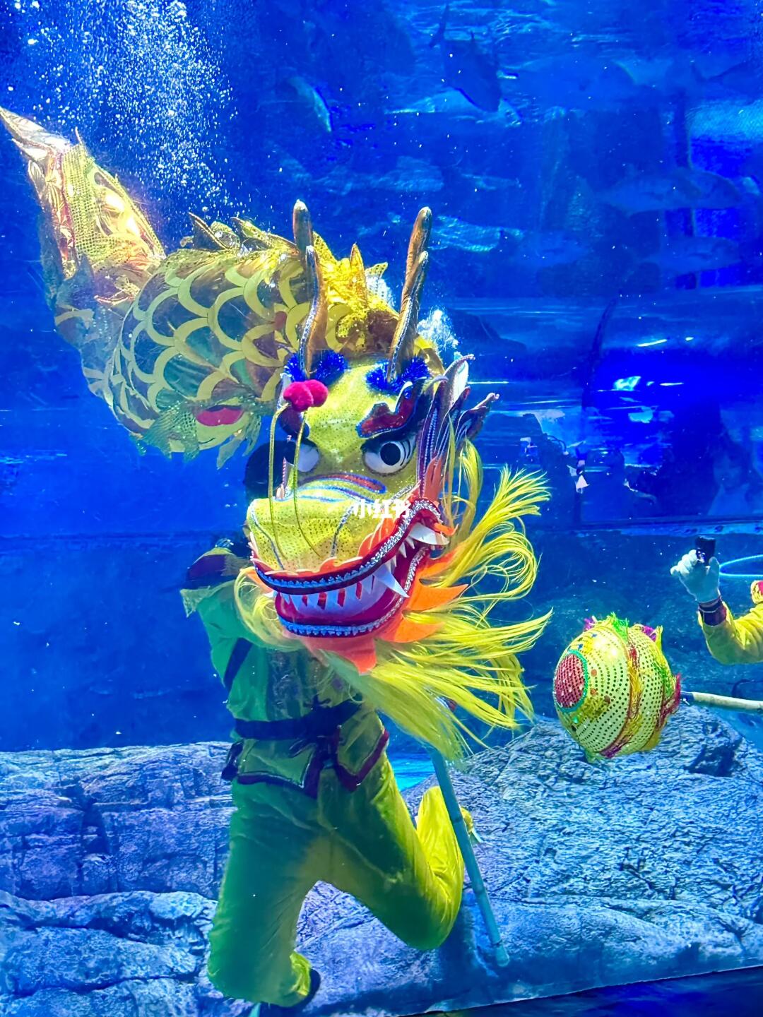 南京遥遥领先‼️海底舞龙🐉这年味这氛围！