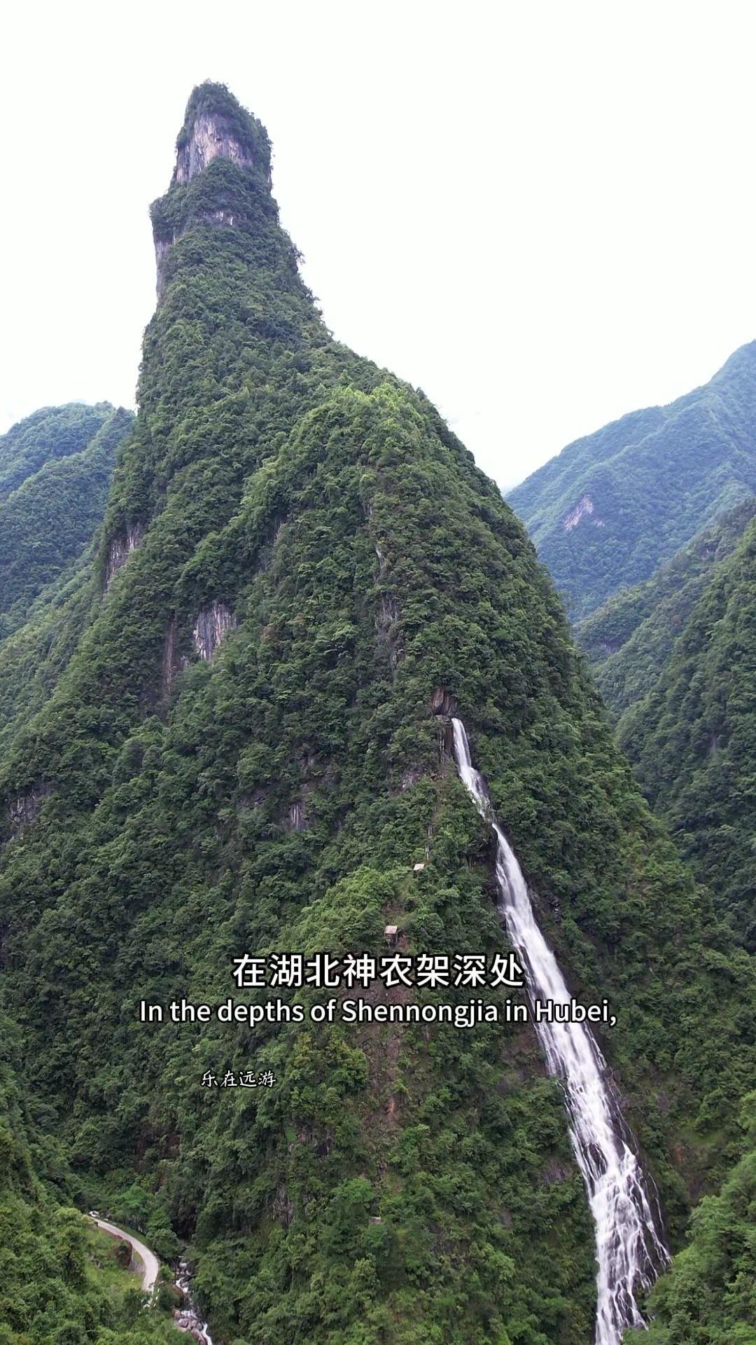 🌄在湖北神农架深处，无人机发现这不可思议的一幕。

1️⃣在一座孤峰的半山腰处