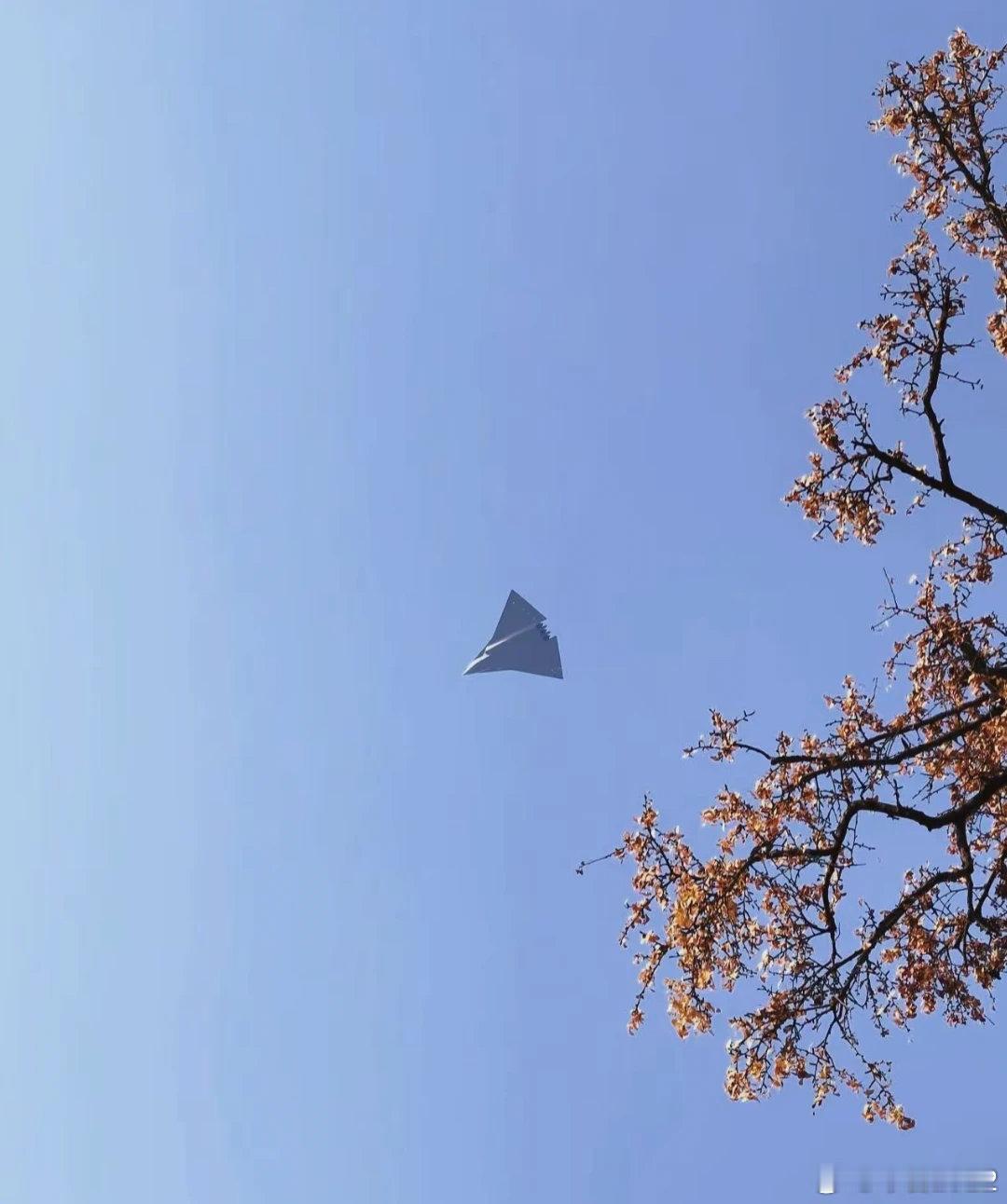 应该不存在太多种可能图2中近处是1号机的Caret进气道，主机轮却是2号机的双并